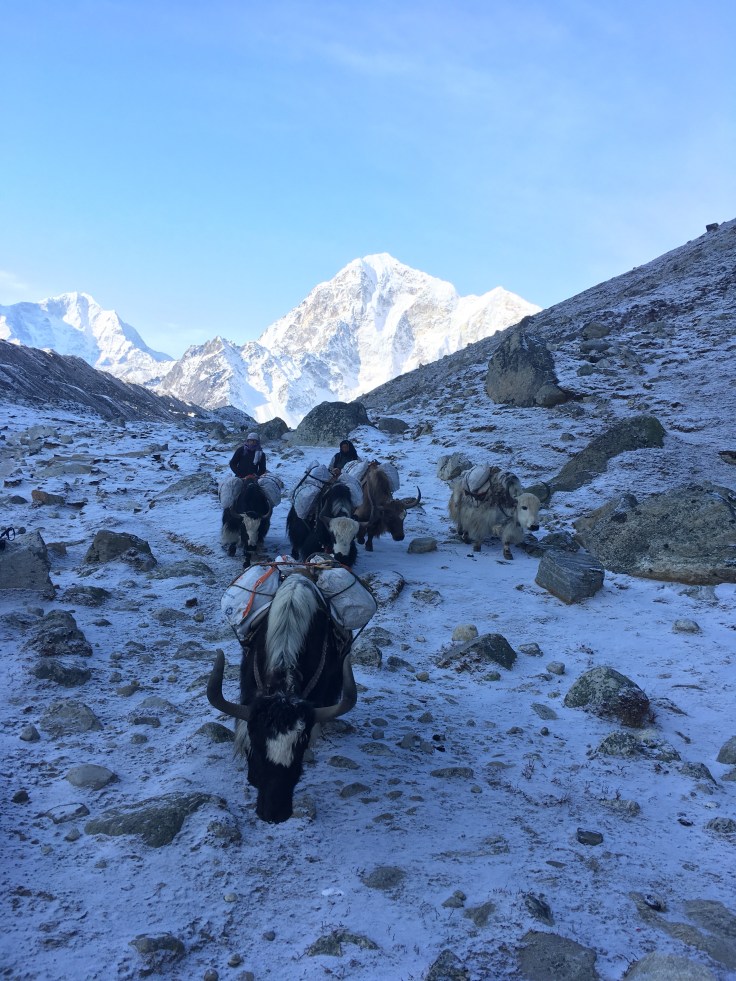 Everest Base Camp Expedition&nbsp;2018